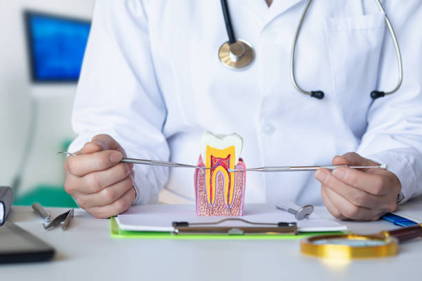 Best Emergency Wisdom Teeth Removal in Varnville, SC